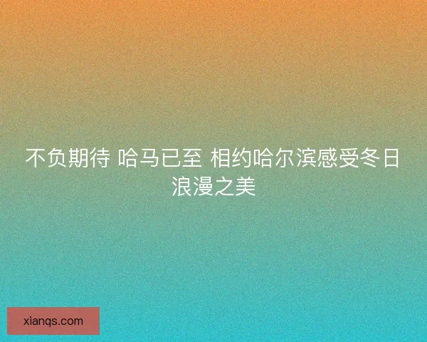 不负期待 哈马已至 相约哈尔滨感受冬日浪漫之美