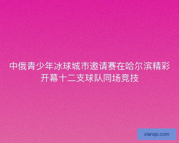 中俄青少年冰球城市邀请赛在哈尔滨精彩开幕十二支球队同场竞技