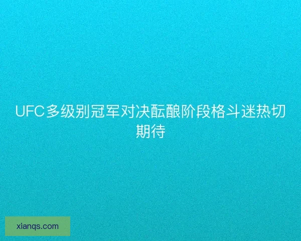 UFC多级别冠军对决酝酿阶段格斗迷热切期待
